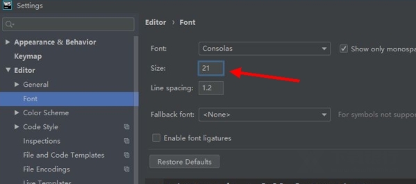 WebStorm2021破解版图片31