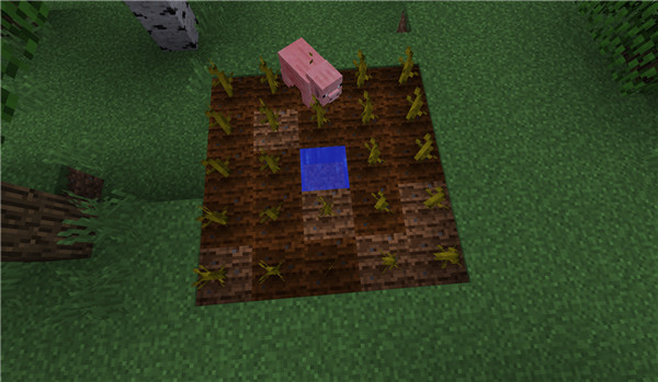 我的世界网易版截图16