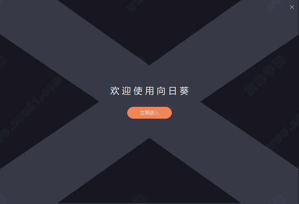 向日葵远程图片1