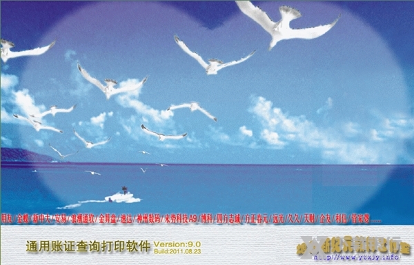 新纪元通用账证查询打印软件截图1