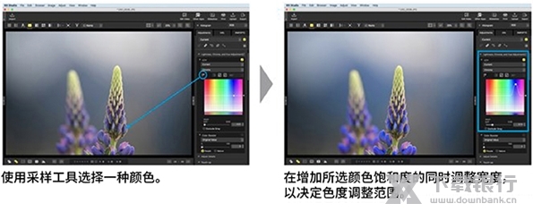 尼康NXStudio图片8