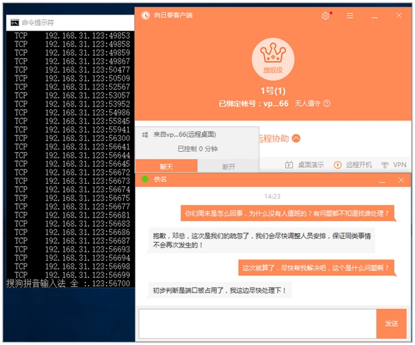 向日葵远程图片2