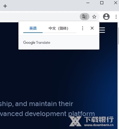 Chrome浏览器图片25