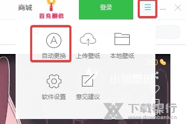 小鸟壁纸电脑版图片11