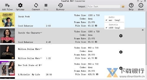 TuneFabM4VConverter图片6