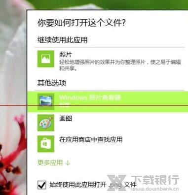 Win10照片查看器无法打开解决方法图片10