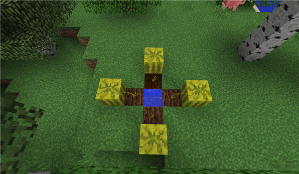 我的世界网易版截图15