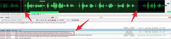 Aegisub绿色版图片8