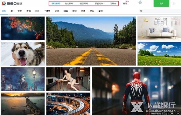 小鸟壁纸电脑版图片4