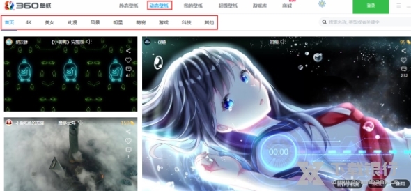 小鸟壁纸电脑版图片6