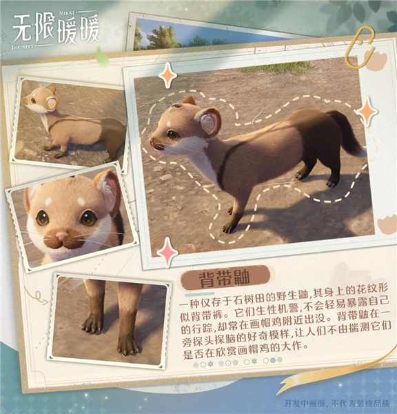 动物图鉴配图3
