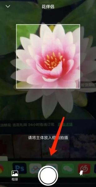 花伴侣app如何识别3