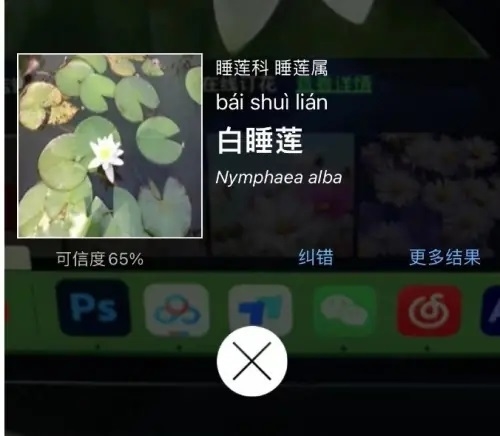 花伴侣app如何识别4