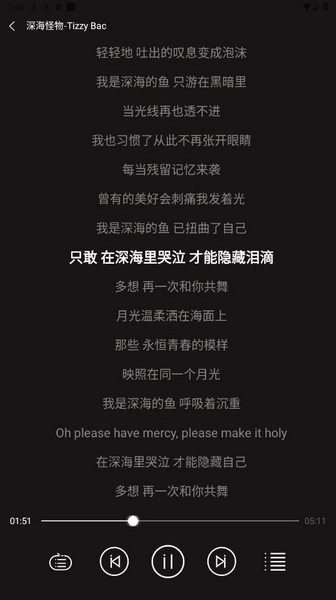 轻听音乐APP图片