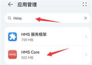 HMSCore软件怎么打开权限截图4