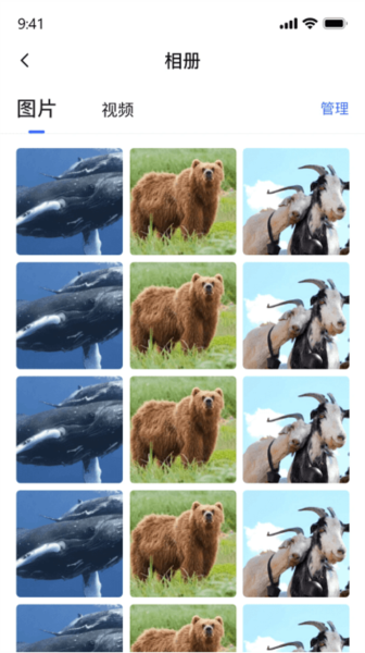 密盒虚拟机宣传图