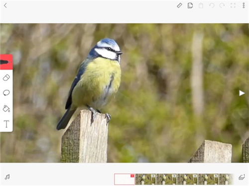 动画制作教程配图8