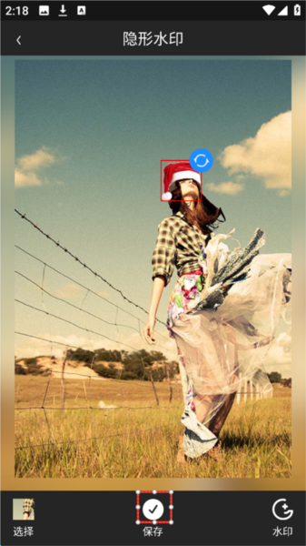 图片添加隐形水印教程配图5