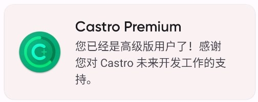 Castro专业版宣传图