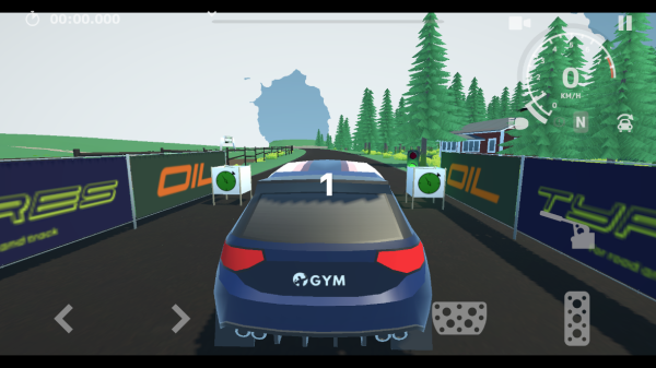 N3拉力赛游戏攻略图片2