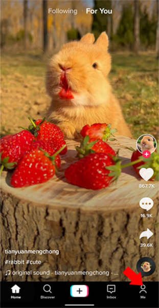 抖音海外版软件截图7