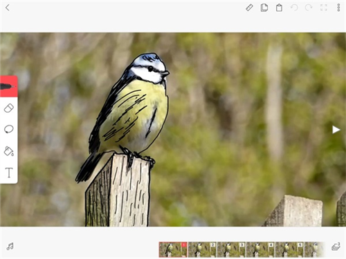 动画制作教程配图13