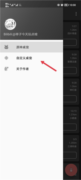 怎么自定义桌宠配图2