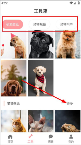 猫狗语翻译怎么录制翻译图片3