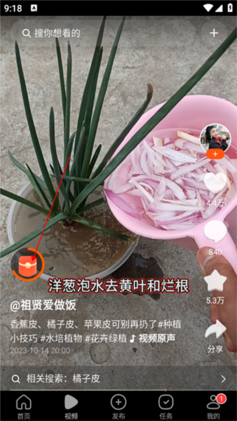 有柿app怎么赚钱