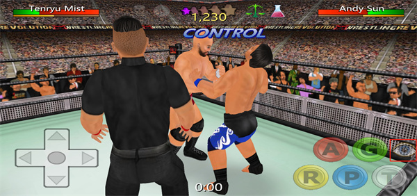 摔跤革命3D图片6