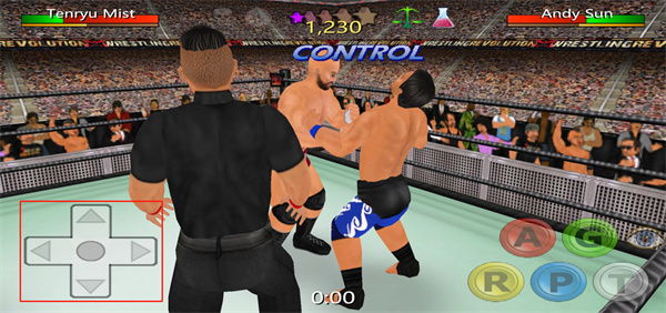 摔跤革命3D图片4