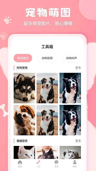 猫狗语翻译图片