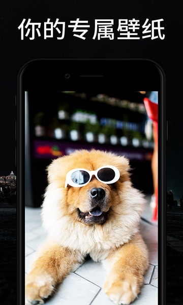 百变桌面壁纸图片2