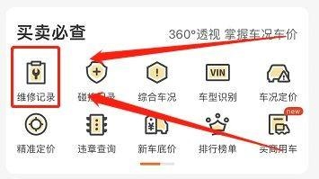 车300专业版维修记录查询教程图片1