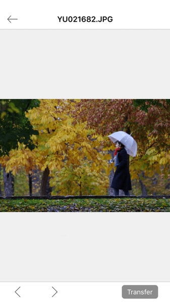 image sync 安卓版宣传图