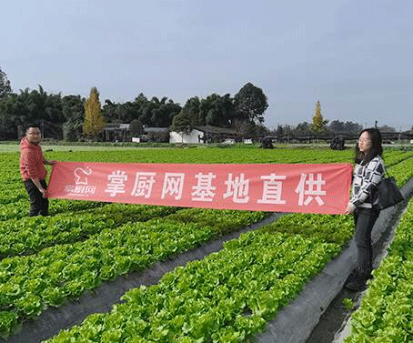 入驻条件要求配图1