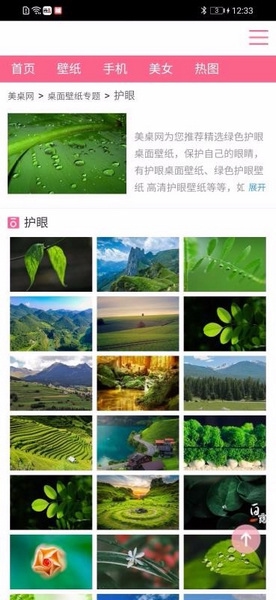 新版跑狗图软件截图1