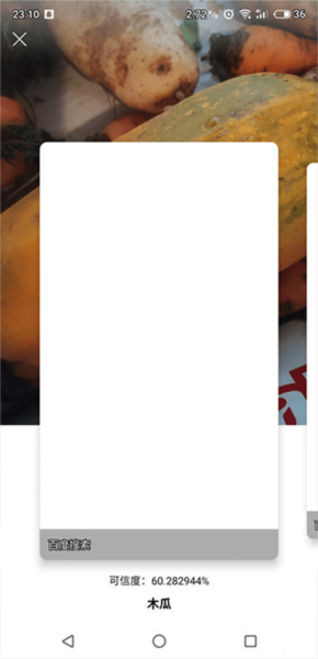 Apus文字识别使用教程图片5