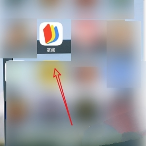 掌阅软件截图10
