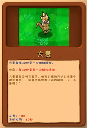 隐藏植物配图2