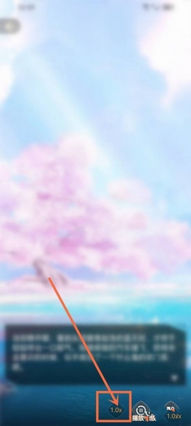 点点穿书app自动播放设置教程图片3