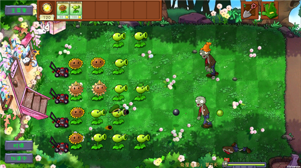 植物大战僵尸共生版5