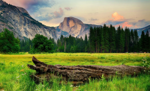 颜甜相机宣传图
