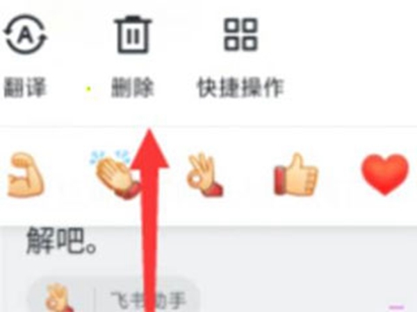 飞书视频删除聊天记录方法图片2