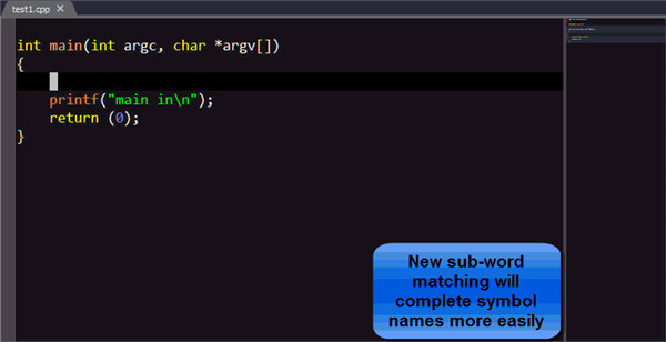 SlickEdit破解版图片4