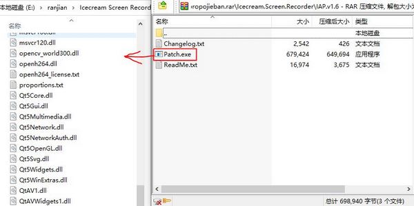 Icecream Screen Recorder Pro