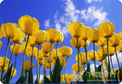 友锋图像处理系统调取选区教程图片18