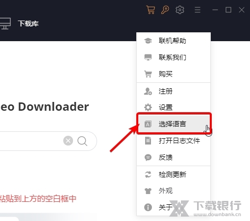 DispCam怎样修改语言2