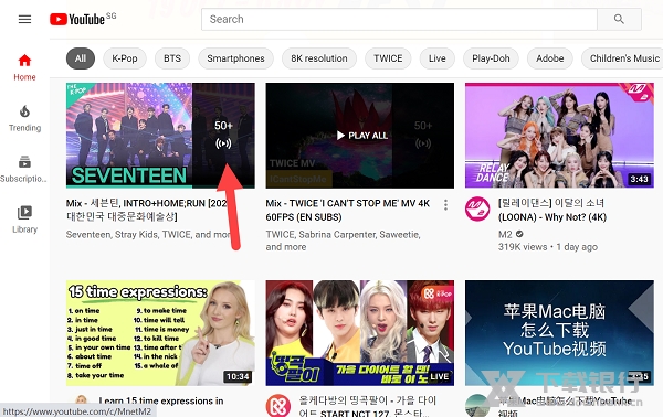 4K Video Downloader图片