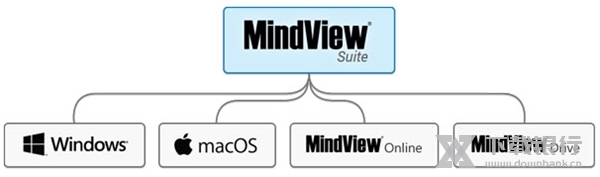 MatchWareMindView图片4